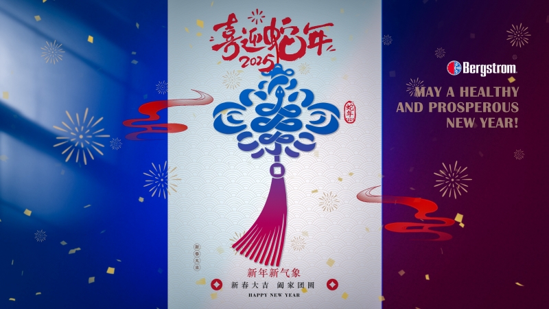 新年贺新•喜迎蛇年